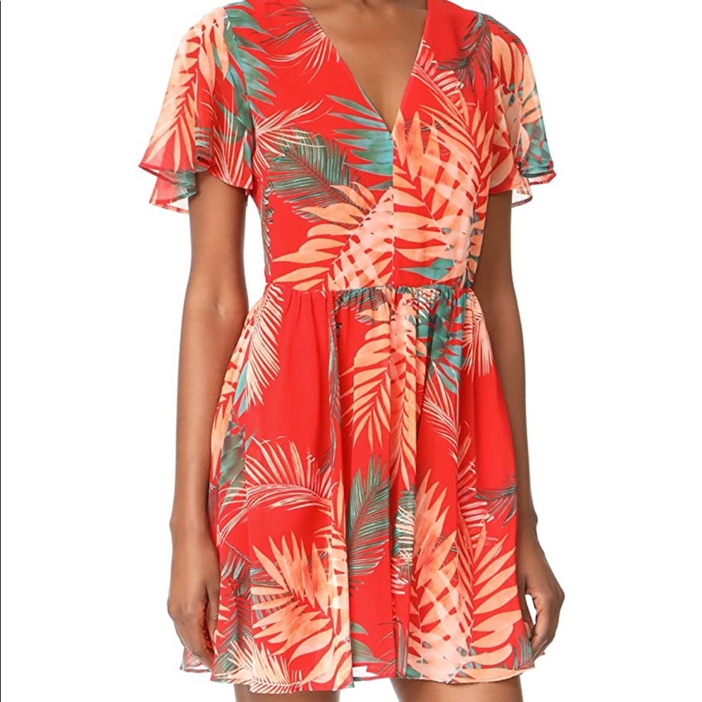 Rebecca Minkoff Crosby Dress